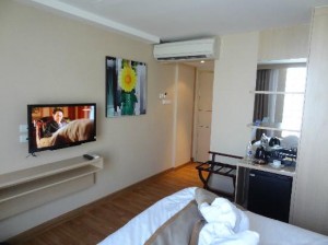 Petals Inn room and TV view